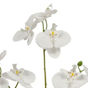 ดอกไม้กล้วยไม้ผ้าไหมสีขาวสัมผัสได้จริงเป็นมิตรกับสิ่งแวดล้อม - Product Image 5