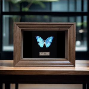 2025 nóng bán tùy chỉnh châu âu phong cách cổ điển <span class=keywords><strong>handmade</strong></span> <span class=keywords><strong>DIY</strong></span> 3D khung ảnh bằng gỗ - Product Image 2