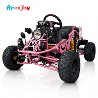 ApexJoy BAJA S4 3000W- Şaft Tahrikli Elektrikli Go Kart Pembe Versiyon 90km/s 120km Menzil Global Satıcı Fiyatı Maksimum Yatırım Getirisi OEM ODM Özel Üretim