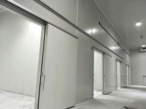 Réfrigérateur de chambre à froid économique, pièces de dubaï, pour la viande et le poulet - Product Image 3