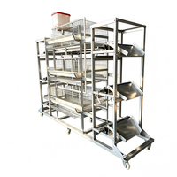 Cage à poulets de type H au meilleur prix avec grattoir manuel pour la collecte du fumier, cages d'élevage de poulets de chair pour petites exploitations avicoles (120 à 2000 poulets)