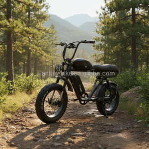 Vélo de montagne <span class=keywords><strong>électrique</strong></span> spécialisé en alliage d'aluminium de qualité supérieure Lantu Original Factory 52v haute puissance pour hommes - Product Image 4