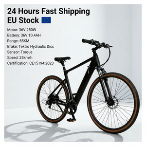 Bicicletta <span class=keywords><strong>Elettrica</strong></span> <span class=keywords><strong>28</strong></span> Pollici Stile Classico Costruzione Resistente Prestazioni Affidabili <span class=keywords><strong>Bici</strong></span> per Pendolarismo Quotidiano - Product Image 1