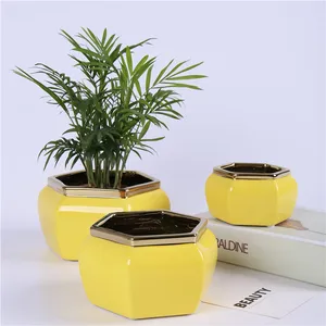 All'ingrosso moderna decorazione da tavolo per la casa a forma di esagono giallo Mini vasi da fiori in ceramica Bonsai