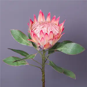 하이 퀄리티 3D 인쇄 슈퍼 대형 실크 킹 Protea 꽃 진짜 터치 라텍스 인공 꽃 홈 웨딩 장식