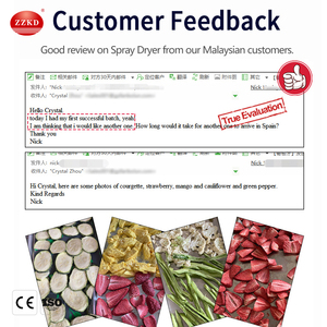 เครื่องอบแห้งแช่แข็งแบบสุญญากาศสำหรับผลไม้ขนมขบเคี้ยวเครื่องอบแห้งแช่แข็งแบบสุญญากาศใช้ในครัวเรือนมาตรฐานสหภาพยุโรป - Product Image 3