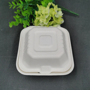 6 inch vuông phân hủy sinh học bã mía Hộp Ăn Trưa tự nhiên trắng takeout container thực phẩm vỏ sò Hamburger Hộp bao bì thực phẩm - Product Image 5