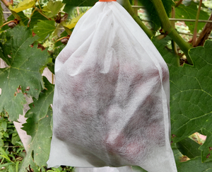 कृषि के लिए 100% पॉलीप्रोपाइलीन-बुने वाले गैर बुना कपड़े केले के बैग कच्चे माल को कवर किया - Product Image 6