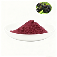 Complément alimentaire pour renforcer le système immunitaire, marque privée d'usine OEM, extrait de sureau noir, capsules de vitamine Sambucus