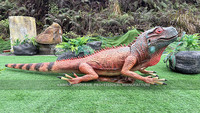 Animatronic Chamaeleonidae Animaux Réaliste Chamaeleonidae Statue Personnalisée
