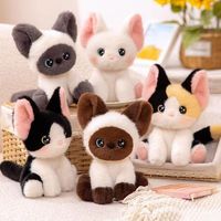 Peluche chat Devon Rex, chaton siamois en peluche, poupée douce, certifiée ISO, design personnalisé pour les anniversaires