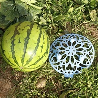 Support de croissance en PP pour melons, pastèques, citrouilles et courges – Protecteurs de plantes de jardin, forme ronde, vert et bleu