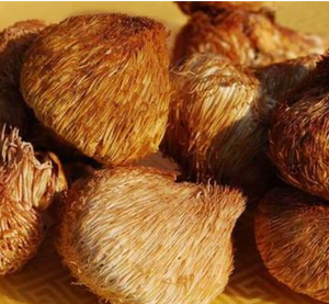 Hou tou gu champignon <span class=keywords><strong>Hericium</strong></span> cru comestible séché entier <span class=keywords><strong>Hericium</strong></span> non ramifié pour la nourriture - Product Image 5