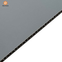 Nouveaux panneaux alvéolaires en polypropylène lisse gris de 4 mm pour intérieurs de fourgonnettes 2026