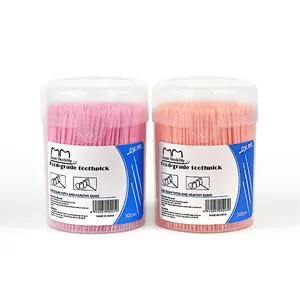 Bulk Private Label Food Grade Teeth Clean Brushpicks Plastic Toothpick in Dispenser