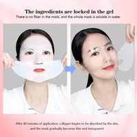 Masque en gelée hydrogel au bio-collagène PDRN, marque privée OEM, Centella, Curcuma, raffermissant, anti-rides, hydratant, éclaircissant, végétalien