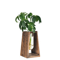 Vase en verre soufflé à la main de style nordique pour plantes hydroponiques, ornement de bureau, article de décoration créative pour la maison