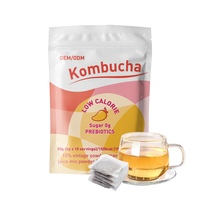 Boisson hydratante probiotique LIFEWORTH à la mangue, thé Kombucha instantané en poudre, mélange de boissons en sachets