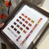 U.OMEEI – Kit de vernis à ongles gel magnétique effet œil de chat Maillard ambre 19 couleurs pour l'automne et l'hiver, idéal pour les salons de manucure