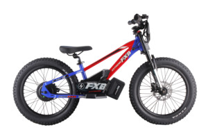 Kinder 20-Zoll Elektro-Balance-Bike Elektrofahrrad mit 36V10AH 800W zum Verkauf - Product Image 2