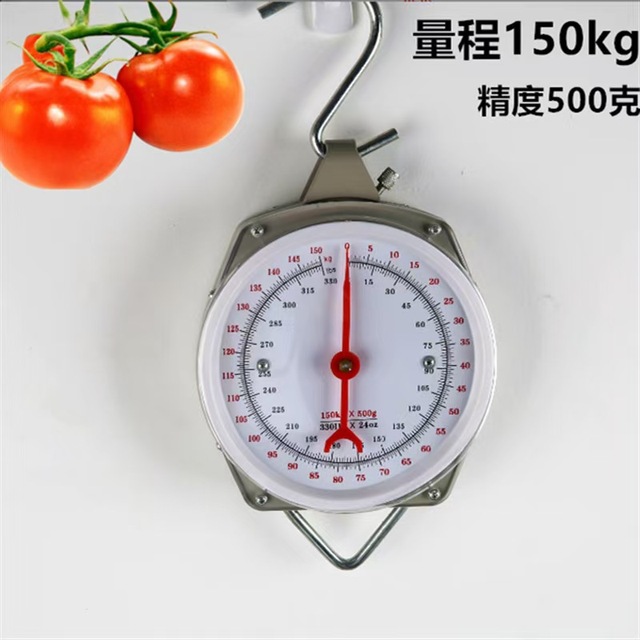 Crane Scale 200kg 150kg 100kg 50kg 25kg Weighing Electronic Balance Heavy Weight Balance