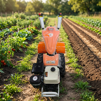 Motoculteur rotatif à moteur certifié CE BCS pour agriculteurs