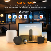 Module d'interrupteur intelligent Tuya Matter de haute qualité, 1 à 4 canaux, contrôle à distance par application, commande vocale, relais intelligent