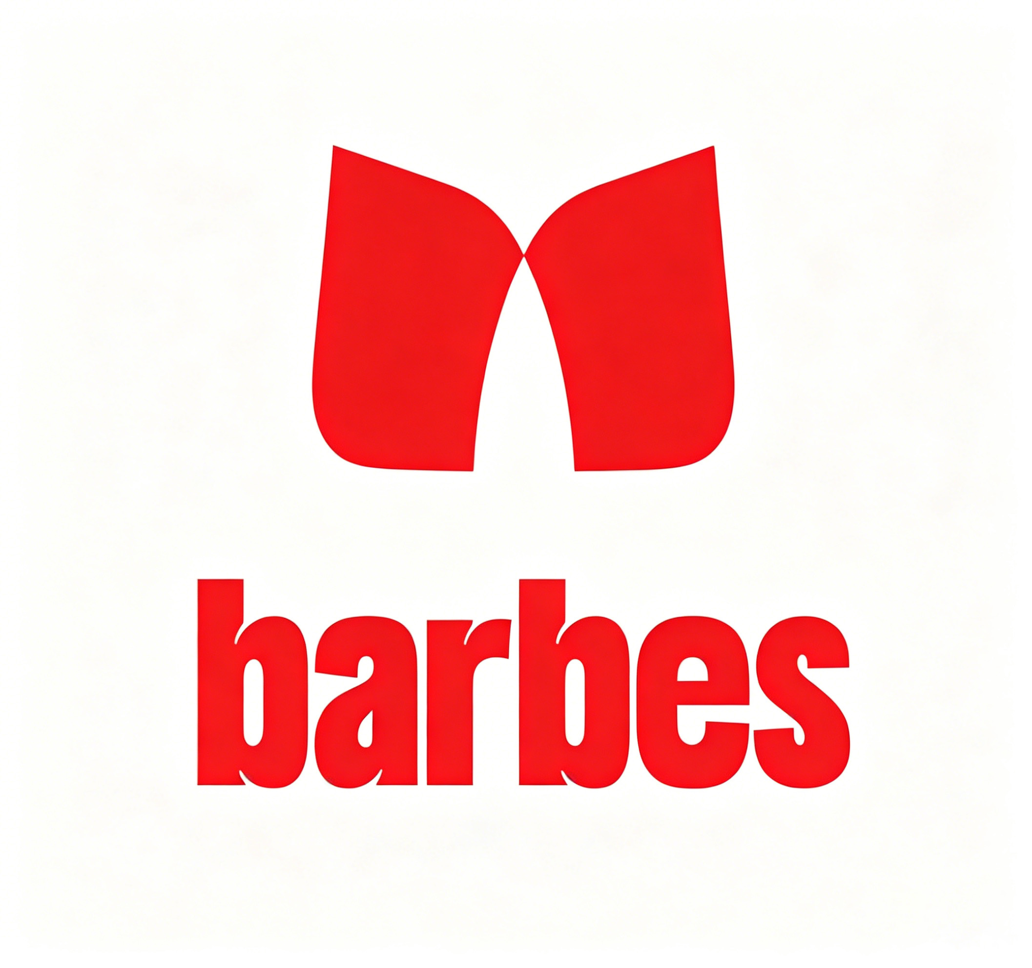 Dongguan Barbes Technology Co., Ltd. logo