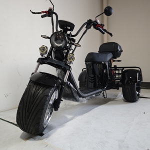 Nouveau produit : Trottinette électrique Citycoco à trois <span class=keywords><strong>roues</strong></span> avec pneus de 8 pouces, double batterie, coffre avancé, idéale pour le golf - Product Image 2