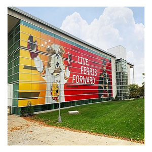 Adesivo in PVC per Finestrini <span class=keywords><strong>Auto</strong></span>, Pubblicità Esterna per Vetri - Product Image 1