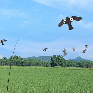 Vendita calda ampiamente usato spaventapasseri per uccelli hawk kite black eagle kite flying kite farm protector - Product Image 4