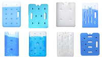 Brique de glace à changement de phase sensible à la température en PEHD, réutilisable, de qualité alimentaire, durable, écologique, avec logo personnalisé pour
