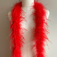 Plume de phénix bande de plumes d'autruche personnalisable matière plastique quatre saisons unisexe vente en gros bricolage vêtements accessoires