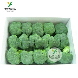 Cinese <span class=keywords><strong>Fresh</strong></span> <span class=keywords><strong>Broccoli</strong></span> Grado UN Vegetale <span class=keywords><strong>Broccoli</strong></span> In Scatola di Cartone - Product Image 3
