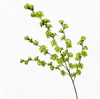 Composition florale artificielle réaliste en soie, style Yanglan à 5 branches, pour décoration de mariage, vitrine de centre commercial, boutique tendance et photographie