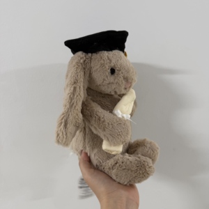 Jelly Cat Cadeaux de la saison des diplômes Souvenir populaire Lapin en peluche pour célébration Rembourré en coton PP Super doux au toucher Garçon - Product Image 3