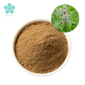 Extrait de <span class=keywords><strong>Leonurus</strong></span> <span class=keywords><strong>Cardiaca</strong></span> de qualité alimentaire, naturel et à base de plantes, en poudre, fourni par l'usine – Extrait de Mère-aimée en poudre, Extrait de <span class=keywords><strong>Leonurus</strong></span> Sibiricus en poudre - Product Image 2