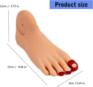 Model pengajaran gigi kaki demonstrasi infeksi kaki manusia perubahan ologis perawatan Jordan Model pengajaran kaki - Product Image 5