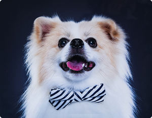 Feuille d'<span class=keywords><strong>aluminium</strong></span> pour <span class=keywords><strong>impression</strong></span> thermique par sublimation pour <span class=keywords><strong>impression</strong></span> <span class=keywords><strong>photo</strong></span> <span class=keywords><strong>sur</strong></span> mur avec service de découpe - Product Image 4