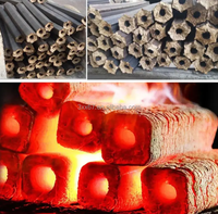 Ligne de briquettes de biomasse personnalisable, machine à briquettes de sciure de bois multifonctionnelle, machine à charbon de bois, capacité de 250-300 kg/h, 380V/220V/110V