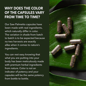 Cápsulas de Saw Palmetto de Marca Privada de Alta Calidad que promueven la Salud de las Articulaciones, Apoyan la Salud de la Próstata y el Control de Peso - Product Image 3