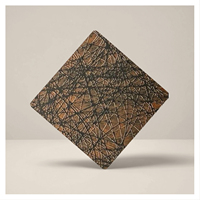 Panneaux muraux ou de plafond artistiques rétro en laiton et acier inoxydable Antique146 pour projets architecturaux