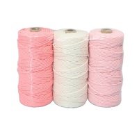 Assortiment de cordes en coton colorées tressées pour loisirs créatifs, tissage décoratif, textile de maison, tapisserie - Shandong