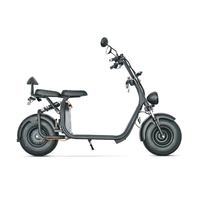 Voiture à batterie pour adulte Vélo électrique Scooter à deux roues Scooter électrique Prince Citycoco