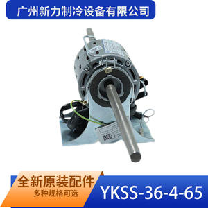 Motor Asíncrono Xinjun YKSS-36-4-65 Monofásico de Montaje en Pedestal de 80 mm Totalmente Cerrado - Product Image 2