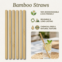Pailles à boire réutilisables en bambou de 20 cm * 9 mm, pailles décontractées pour restaurant, bar, café, vaisselle écologique