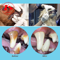 Nettoyeur de dents pour chiens, dissolvant de tartre, Kit de grattoir en acier inoxydable, outil de nettoyage buccal pour animaux de compagnie, accessoires plus frais pour la respiration des chiens