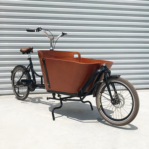 Pédale verte à chargement frontal urbain vente en gros de certification CE vélo électrique cargo vélo électrique vélo électrique vélo <span class=keywords><strong>Long</strong></span> <span class=keywords><strong>John</strong></span> - Product Image 3