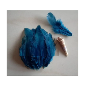 Plumes naturelles de luxe de qualité supérieure, teintes à la main, pour la mode, les costumes de scène, les créations artistiques DIY, les cadeaux personnalisés, les arrangements floraux - Product Image 6