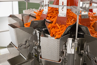 Machine à emballer les germes de haricots fruits gombo peseur multitête automatique pesant l'oignon carottes machine à emballer les pommes de terre